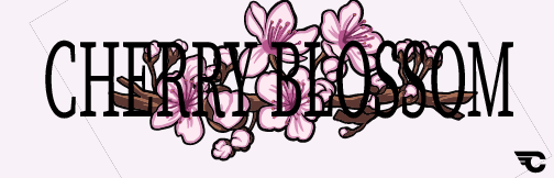 Cherry Blossom Car Culture Sticker